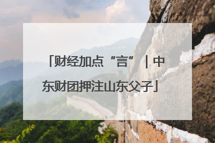 财经加点“言”｜中东财团押注山东父子